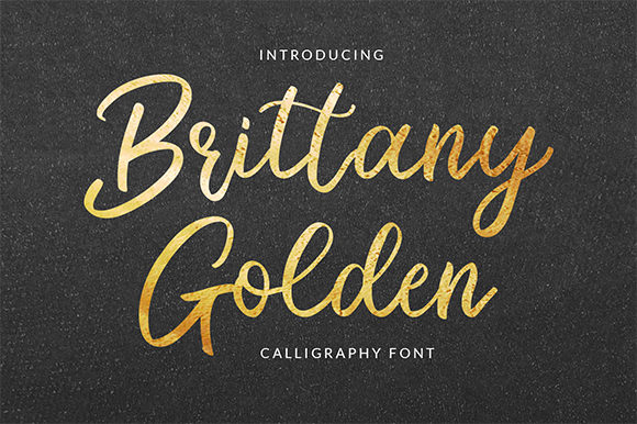 Download Brittany Golden - Old Collection