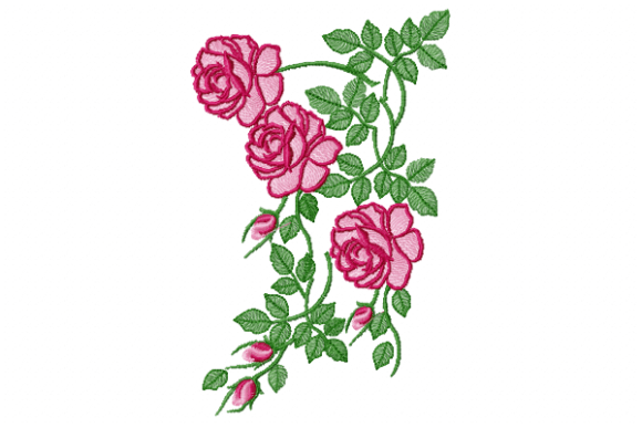 Download Cute Rose - Rose Collection